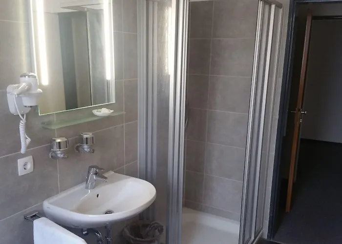 فندق Buergerhaus 3*